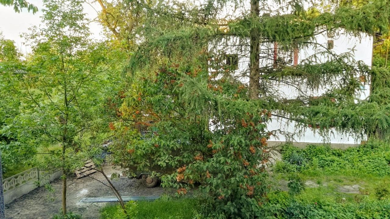 Familuks - Apartementy Katowice Ligota Dış mekan fotoğraf
